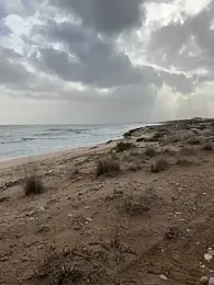 Nicoleevien webcam model stream image