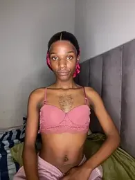 Trans_fairy webcam model stream image