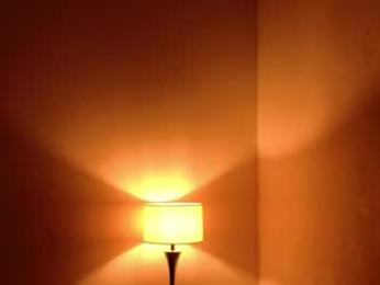 arivega webcam model stream image