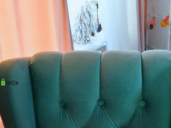 -ANN webcam model stream image