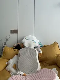 KPL-11 webcam model stream image