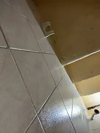 Alyha_Cortes webcam model stream image