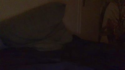 manuswiss webcam model stream image