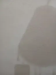 Vista previa de Tanha18