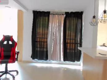 tbastian webcam model stream image
