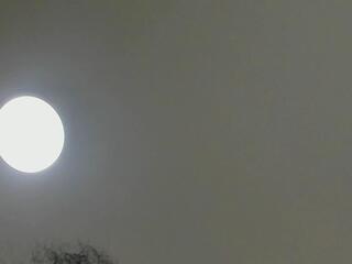 Daniela Lopezz webcam model stream image