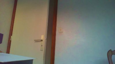 comus4 webcam model stream image