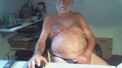 Seniorhengst webcam model stream image