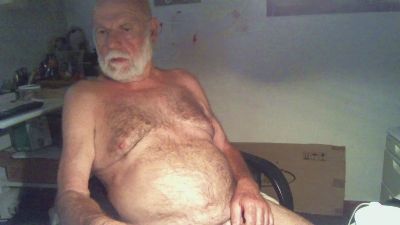 Seniorhengst webcam model stream image