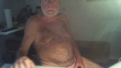 Seniorhengst webcam model stream image