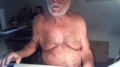 Seniorhengst webcam model stream image