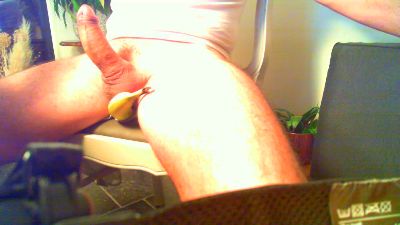 cockfest4u webcam model stream image