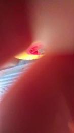 ALEXRED86 webcam cam4 model stream image