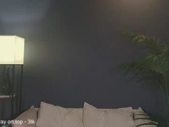ashlinks webcam model stream image