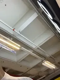 IM_DAREN webcam model stream image