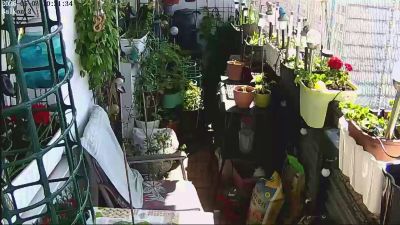 sweetnude83 webcam model stream image