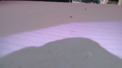 SAPIA_SEXUAL webcam model stream image