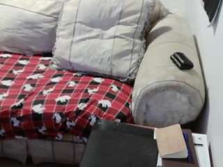 willitbegreat webcam model stream image