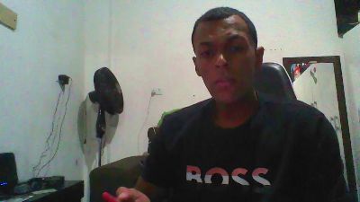 Dove webcam model stream image