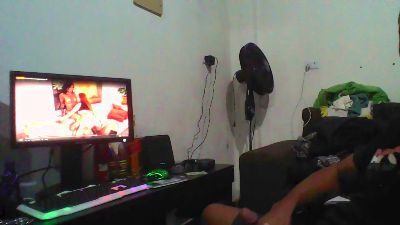 Dove webcam model stream image