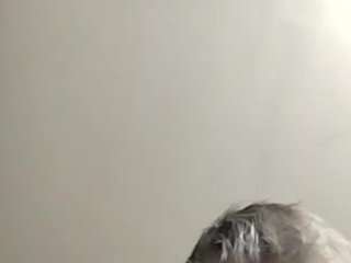 jmeezdaxo webcam model stream image