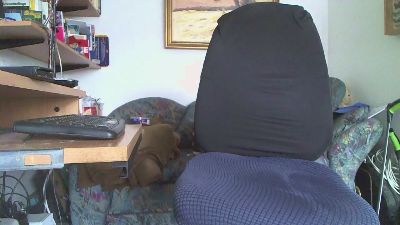 blasegerne851 webcam model stream image