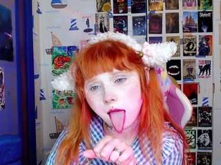 usagi-sasagi webcam model stream image