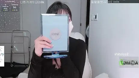 whitelee2 webcam model stream image