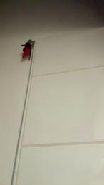 Timothedordain webcam cam4 model stream image