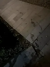 jimmyAAS webcam model stream image