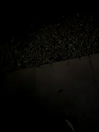 jimmyAAS webcam model stream image