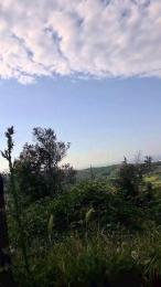 uncutcockitaly webcam cam4 model stream image