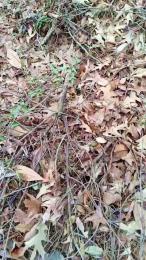 ComeHandleme webcam model stream image