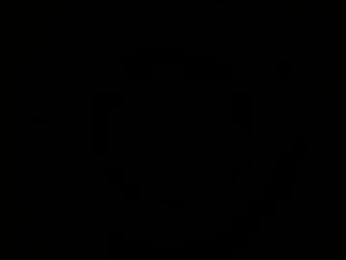 selectz5 webcam model stream image
