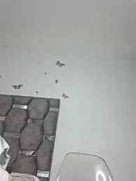 aurelialux webcam model stream image