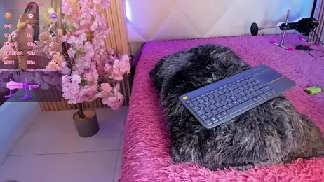veronica_hill_ webcam model stream image