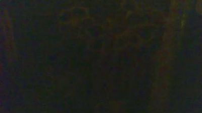 Hasan333 webcam model stream image