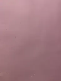 Cute_palak001 webcam stripchat model stream image