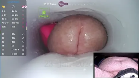 controlmytoys webcam model stream image