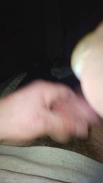 bongars21 webcam model stream image