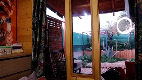 LittleMe97 webcam stripchat model stream image