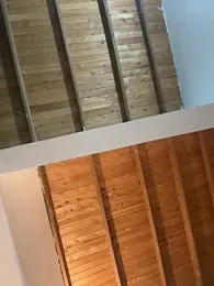 valeriahornier webcam model stream image