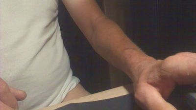Hohlb webcam model stream image