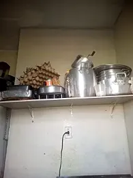 pedrodavid_ webcam model stream image