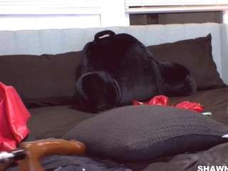 shawn-geni webcam model stream image