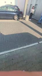 RealPublicManPl webcam model stream image