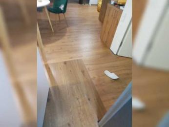 SerNad webcam model stream image