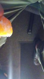 brageirac1 webcam model stream image