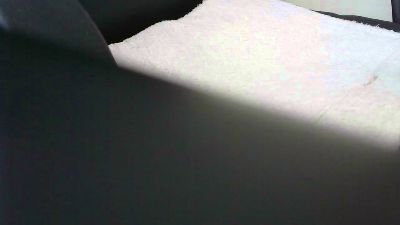 punt1 webcam model stream image