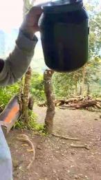 Remote_live webcam cam4 model stream image